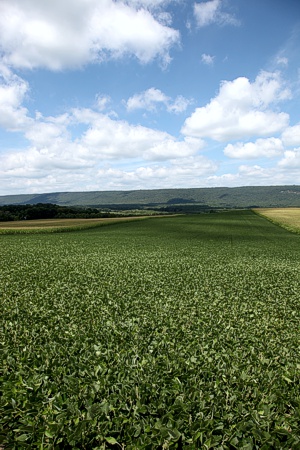 Moore Township
